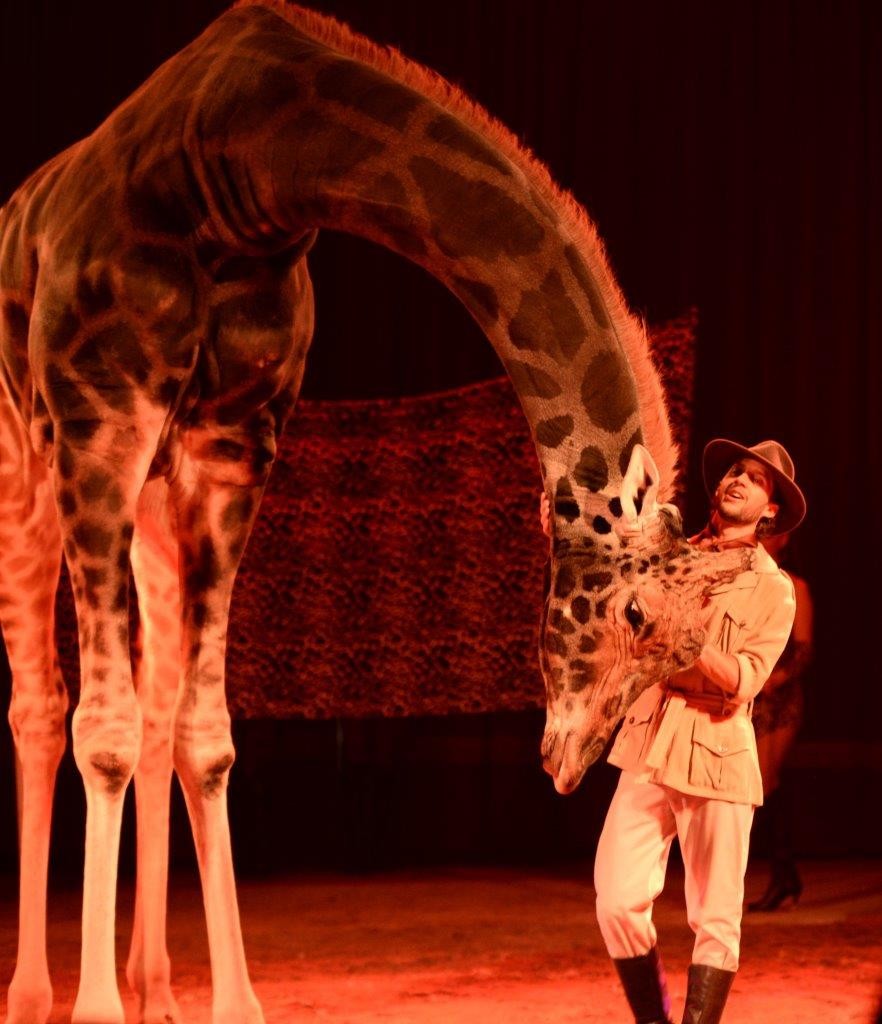 Palermo: Royal Circus con il più grande spettacolo del mondo