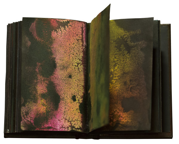 Marco Cassarà, Solar Plexus, libro d'artista 2015, dettaglio, tecnica mista su carta, 16x10, pp 181