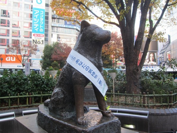 In foto, la statua in bronzo di Hachiko presso la Stazione di Shibuya (Tokyo, Giappone)