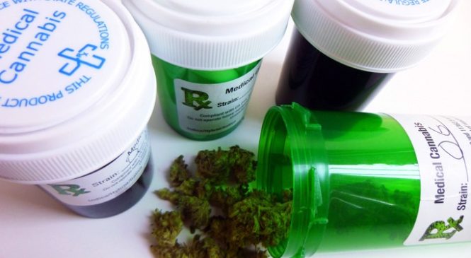 Cannabis, la pianta dalle fantastiche proprietà: benefici, effetti e usi terapeutici