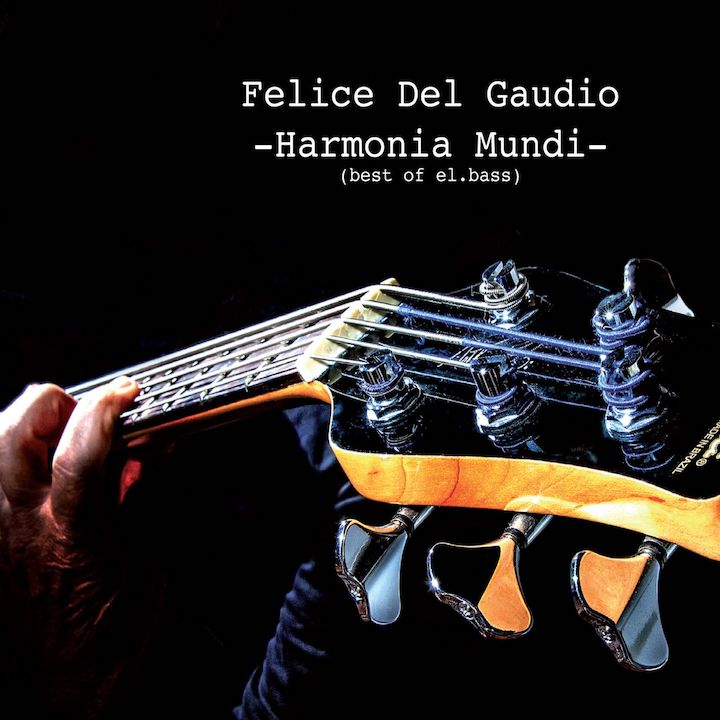 FELICE DEL GAUDIO - HARMONIA 720 x 720