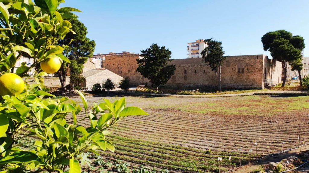“Il Giardino di Maredolce” aderisce alle “Giornate nazionali di valorizzazione di parchi e giardini storici”