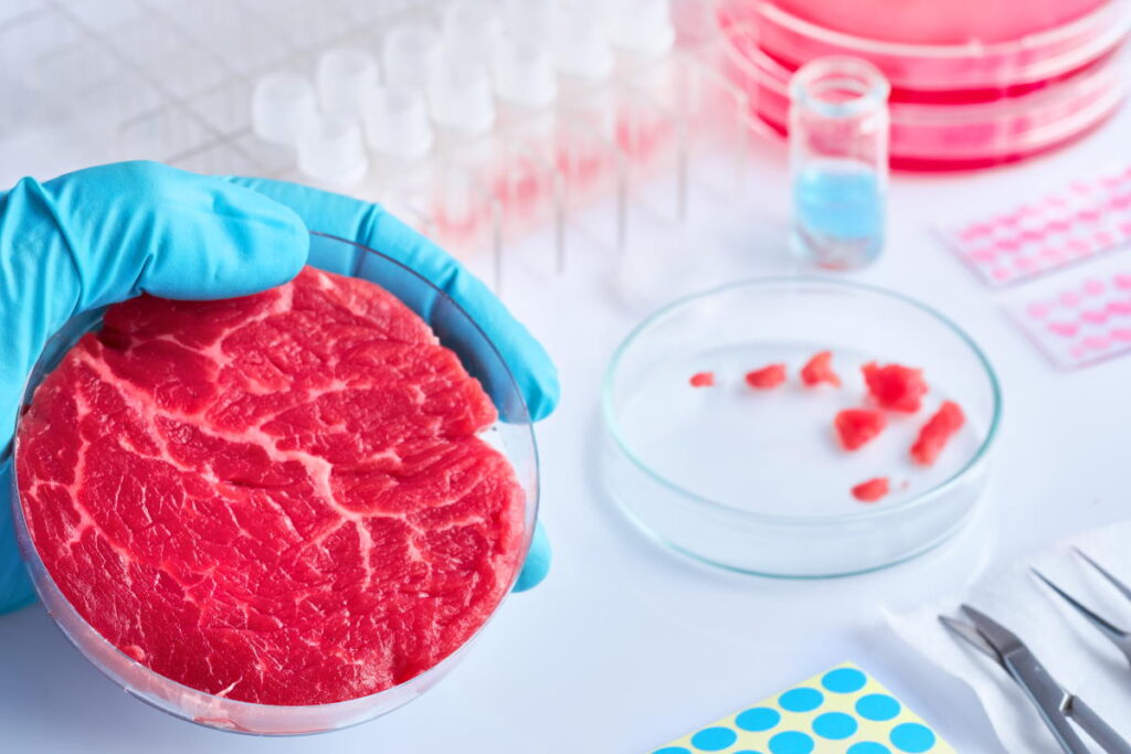 La carne sintetica bocciata dall’Italia: vietata la produzione, ma non l’importazione