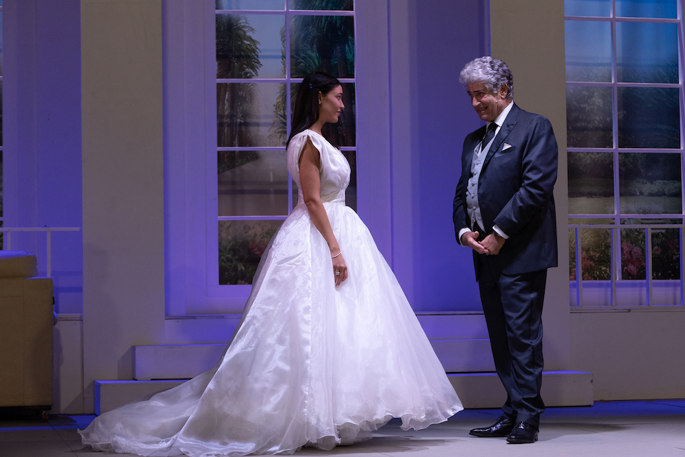 Al Teatro ABC va in scena “Il padre della sposa” con Gianfranco Jannuzzo e Barbara De Rossi