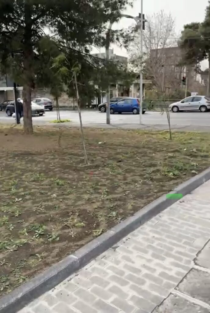 Progetto “Catania Respira” con 2500 nuovi alberi in città