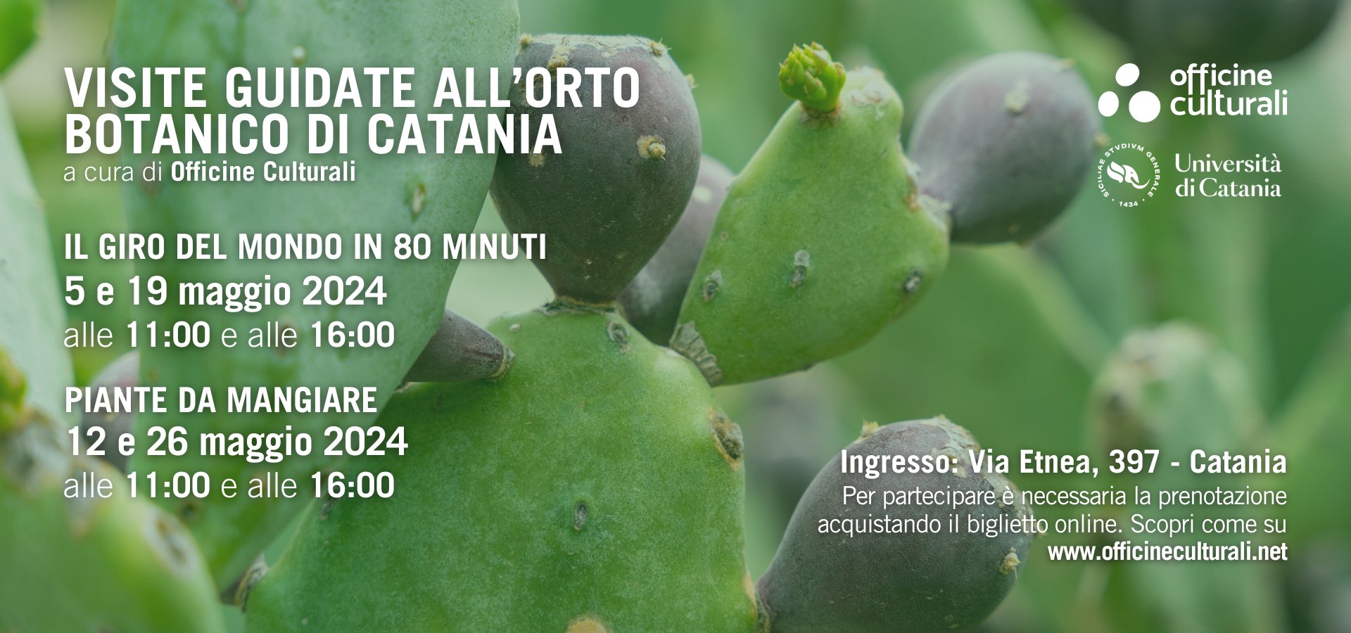 Nuovi percorsi guidati all’Orto Botanico di Catania: “Il giro del mondo in 80 minuti” e “Piante da mangiare”